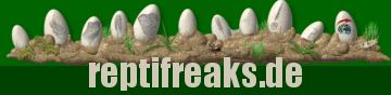 Reptilien-Freaks 